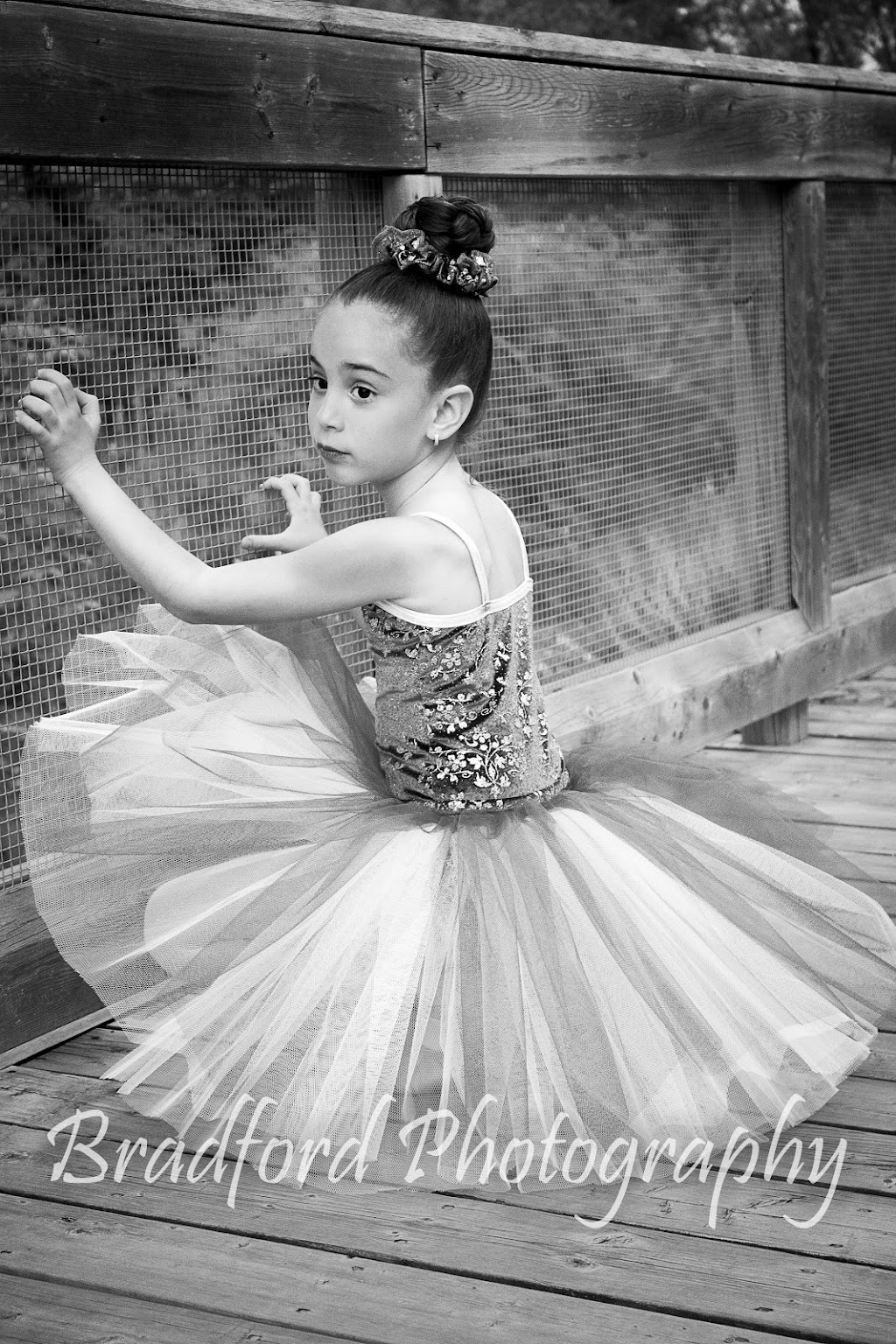 Bradford Photography | 105 Tigertail Cres, Bradford, ON L3Z 0M3, Canada | Phone: (416) 554-5647