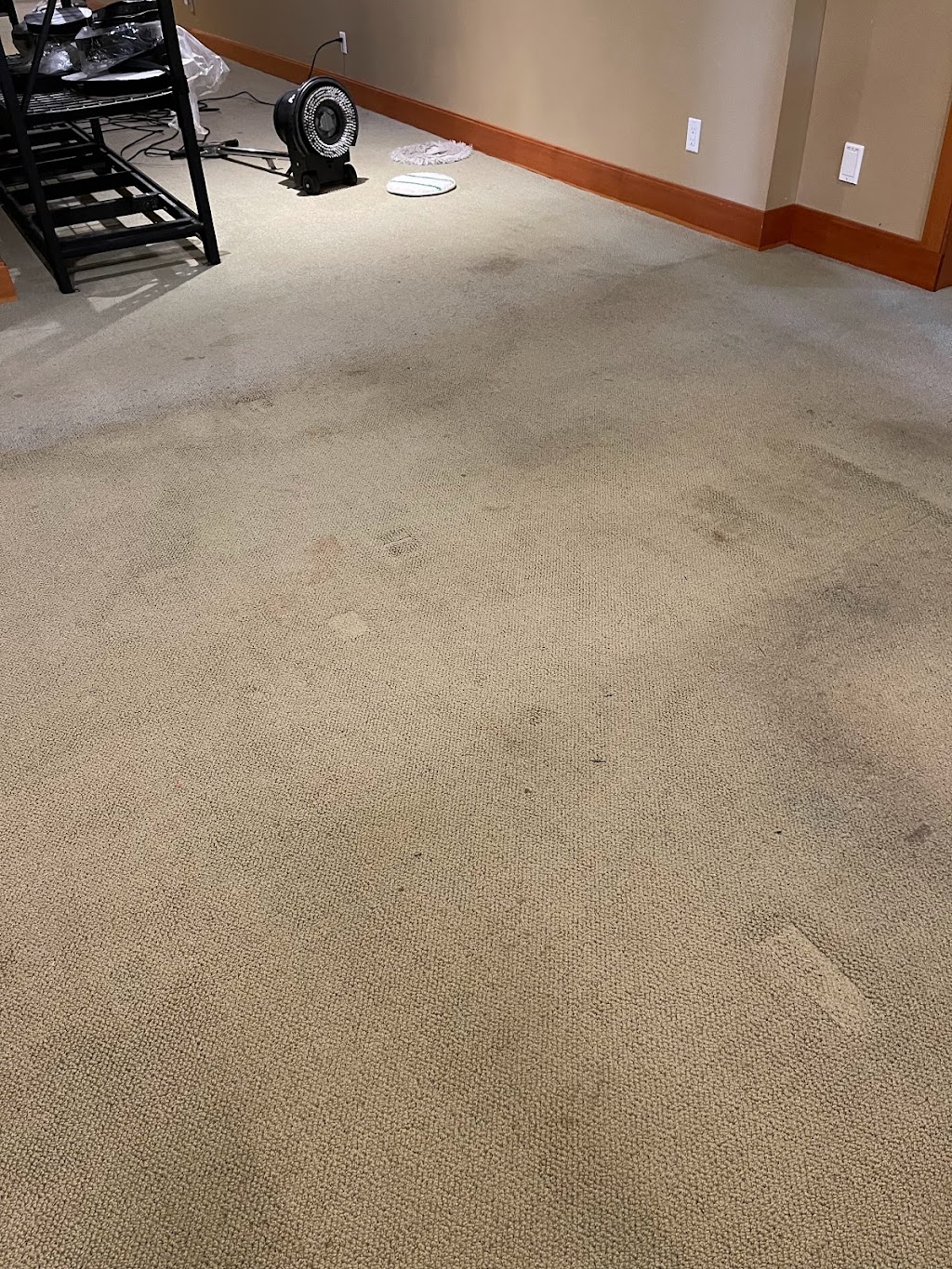 Chriss Rug & Blind Cleaning | 2998 Boys Rd #1, Duncan, BC V9L 6W4, Canada | Phone: (250) 597-4533