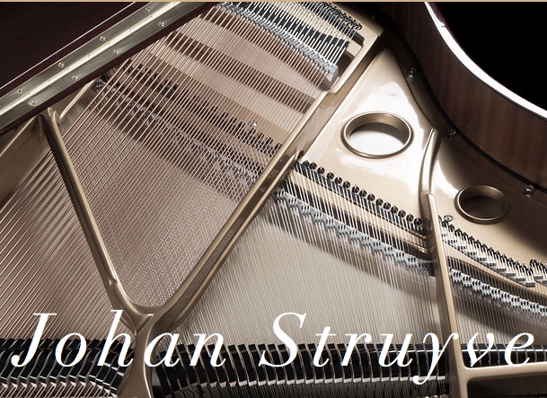 Johan Struyve, Professeur De Piano | Chemin Numéro 12, Notre-Dame-des-Prairies, QC J6E 0N3, Canada | Phone: (579) 337-5350