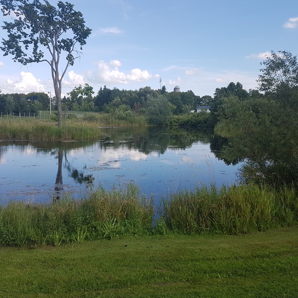 Heatherton Harness And Tack | 493609 Road 49, Maxwell, ON N0C 1J0, Canada | Phone: (519) 923-6517