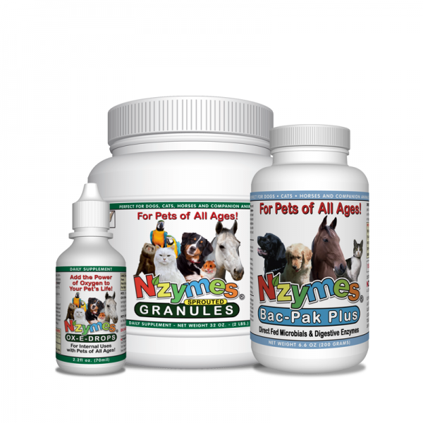 PAWS4Health | 51 Sarah Crescent, Dartmouth, NS B2W 4Z2, Canada | Phone: (902) 435-2528
