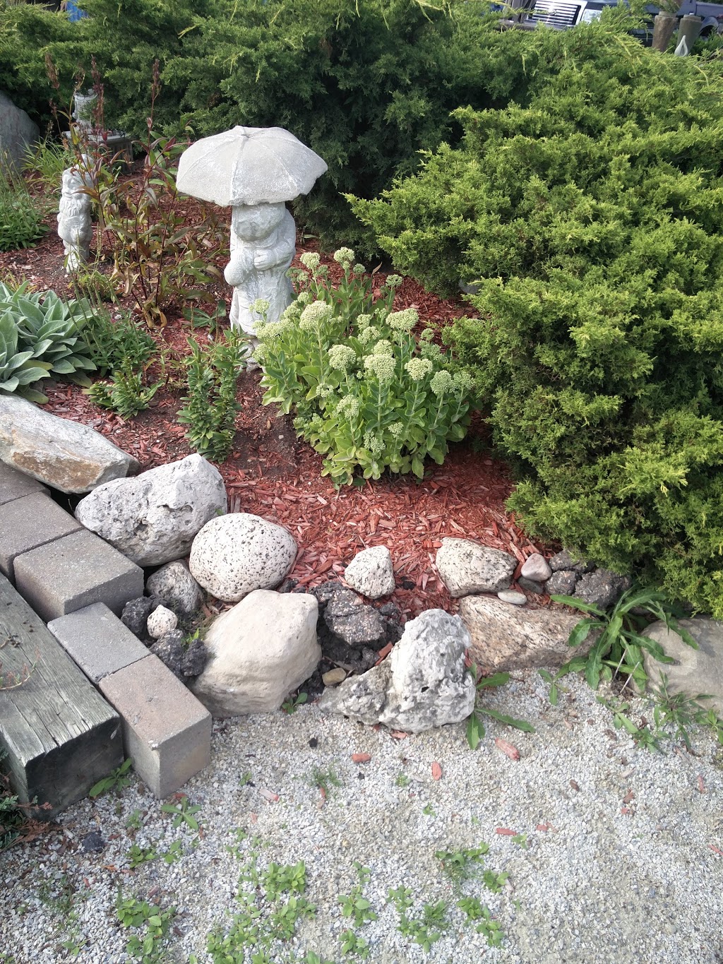 Sids Pond & Gardenscape Inc | 6000 Ninth Line, Mississauga, ON L5N 0C1, Canada | Phone: (905) 824-5104