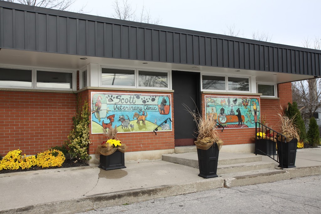 Scott Veterinary Clinic | 904 Colborne St, Brantford, ON N3S 3T4, Canada | Phone: (519) 752-3431