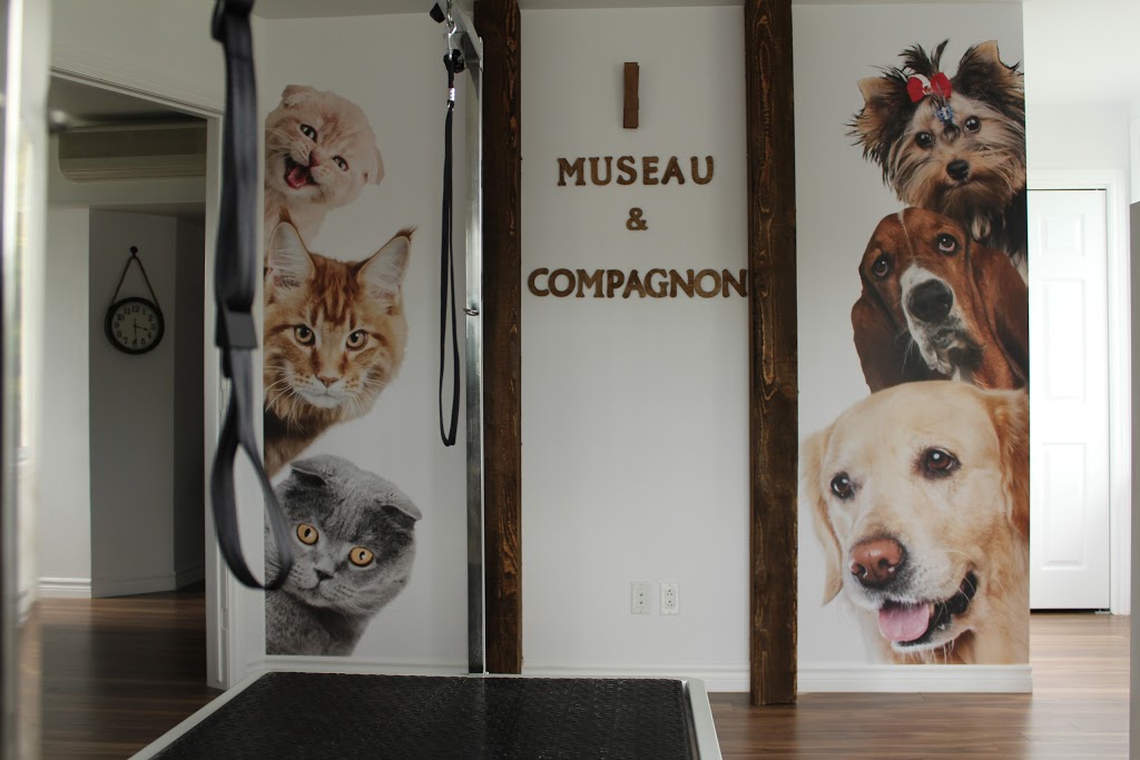 Museau et Compagnon Toilettage - 120 Rue Melissa, Saint-Jean-de-Matha ...