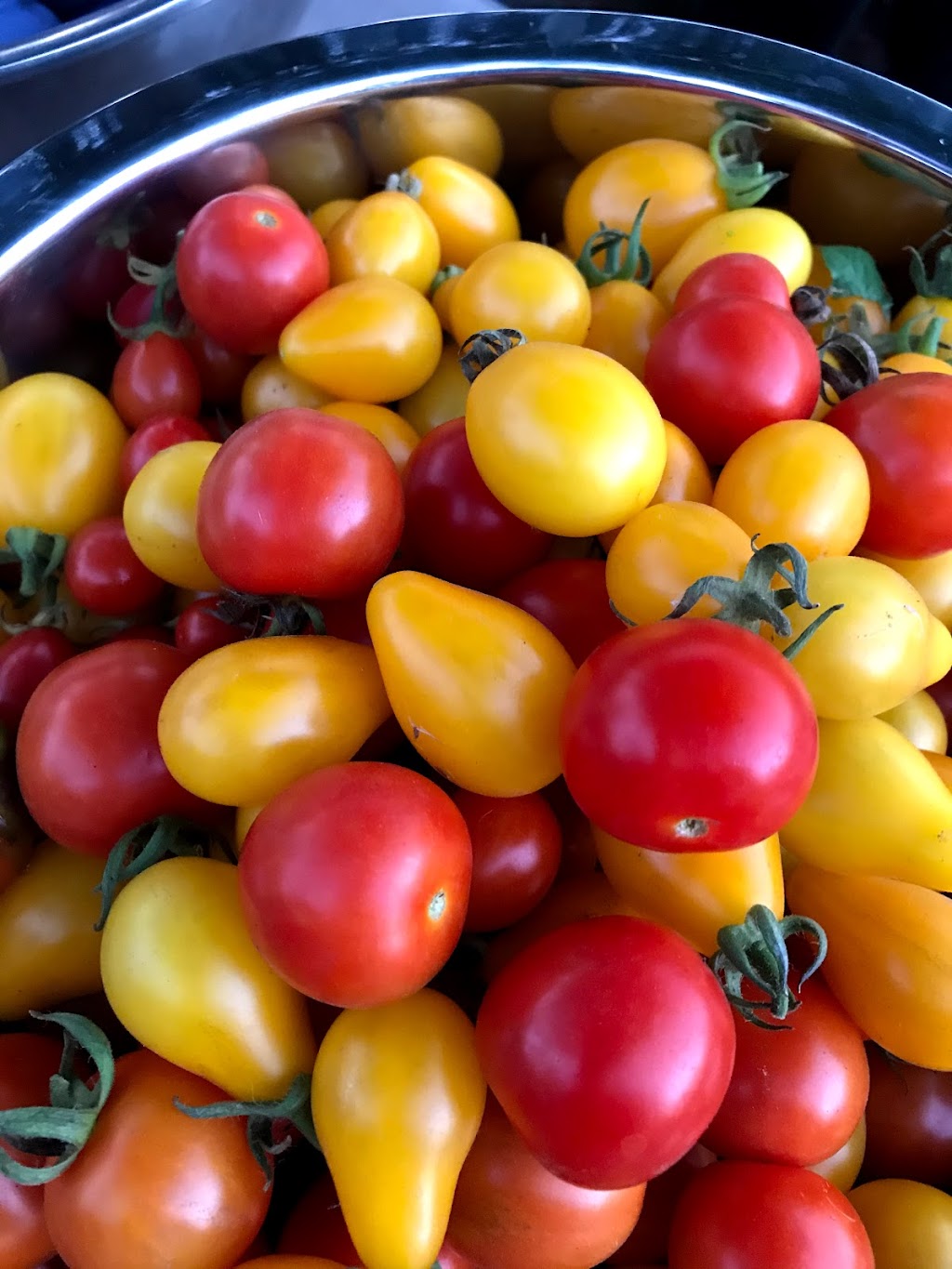 Eco Farming Group | 5876 Lougheed Hwy., Agassiz, BC V0M 1A1, Canada | Phone: (778) 987-1241
