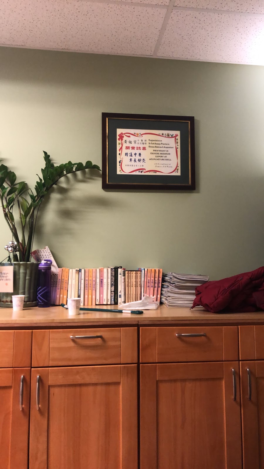 The Tian You Classical Acupuncture Center | #203, 3815 Sunset St, Burnaby, BC V5G 1T4, Canada | Phone: (604) 438-3877