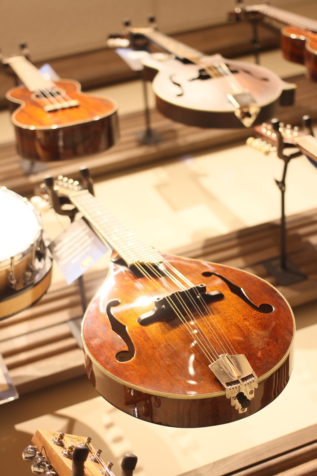 Long & McQuade Musical Instruments | 28 Roy Blvd, Belleville, ON K8N 0L9, Canada | Phone: (343) 600-0124