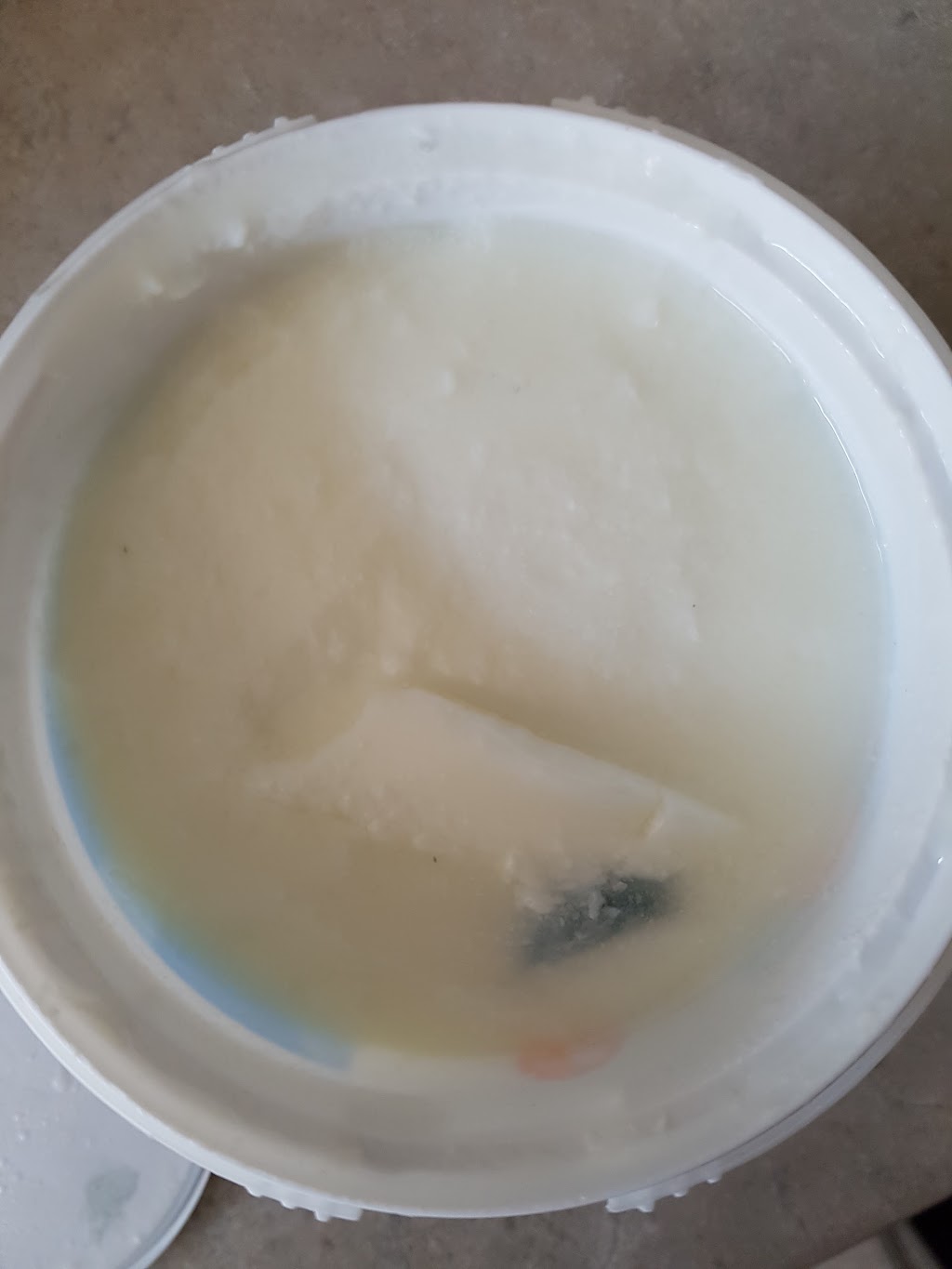 Local Dairy | 139 Victoria St, Ingersoll, ON N5C 2M8, Canada | Phone: (519) 485-4242