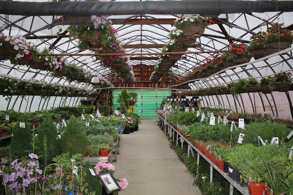 Listowel Greenhouses | 7877 Perth Road 164 R.R 2, Listowel, ON N4W 3G7, Canada | Phone: (519) 291-2434