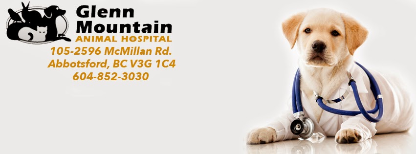 Glenn Mountain Animal Hospital | 2596 McMillan Rd #105, Abbotsford, BC V3G 1C4, Canada | Phone: (604) 852-3030
