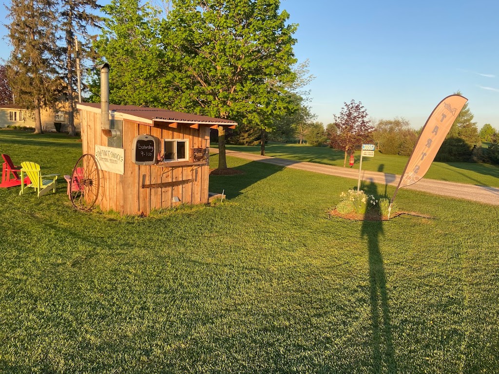 The Tart Shack | 38557 Belgrave Rd, Belgrave, ON N0G 1E0, Canada | Phone: (226) 622-0452