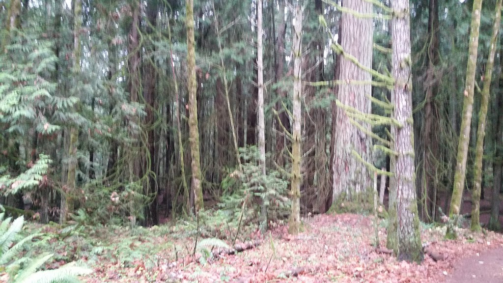 Francis/King Regional Park | Munn Rd, Saanich, BC V9E 1H7, Canada | Phone: (250) 360-3000