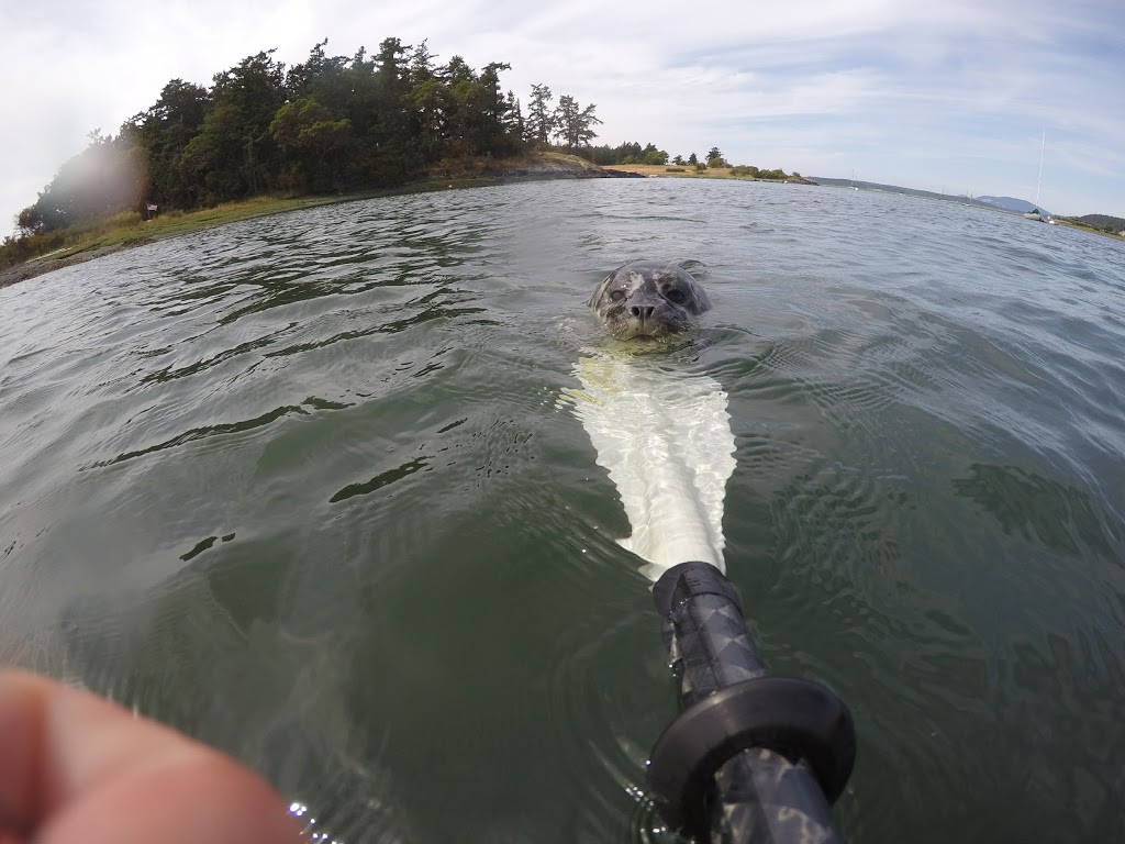 Fisherman Bay Preserve | Chestnut Ln, Lopez Island, WA 98261, USA