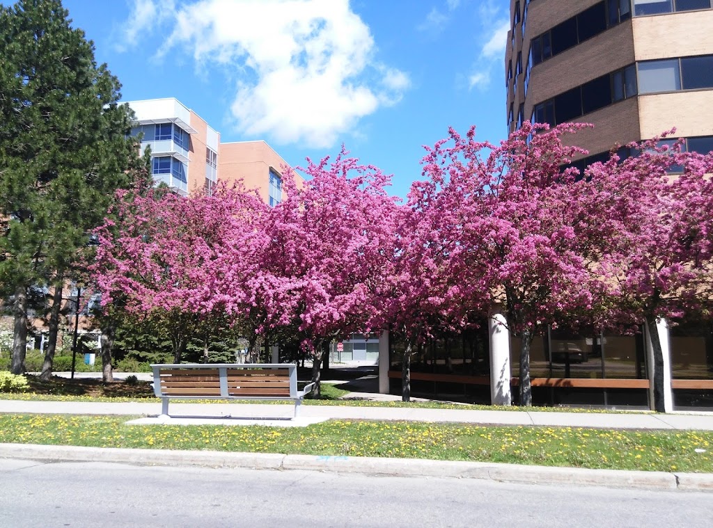 Baycrest Centre | 3560 Bathurst Street, Toronto, ON M6A 2E1, Canada | Phone: (416) 785-2500
