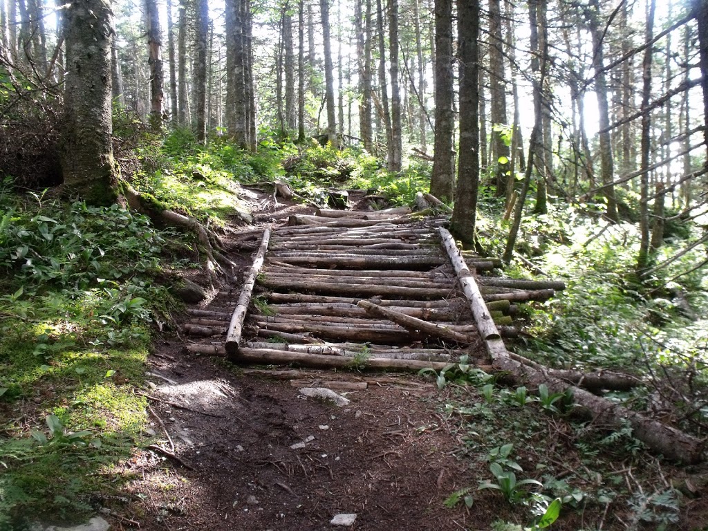 Trails Mount Bélanger | Sentiers mont Bélanger, Saint-Robert-Bellarmin, QC G0M 2E0, Canada | Phone: (418) 313-2046