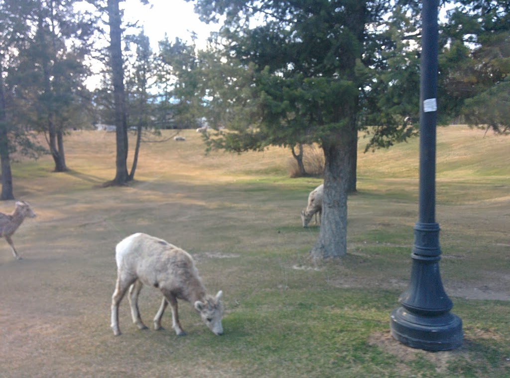 The Village of Radium Hot Springs Municipal office | 4836 Radium Blvd, Radium Hot Springs, BC V0A 1M0, Canada | Phone: (250) 347-6455