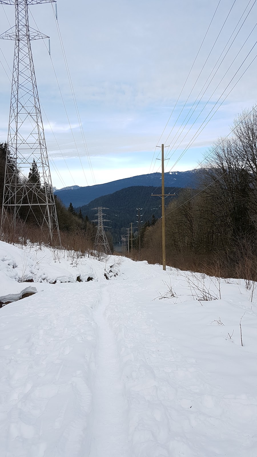 Burnaby Mountain Biking and Hiking Trails | University Dr E, Burnaby, BC V5A 4Y8, Canada | Phone: (604) 294-7944