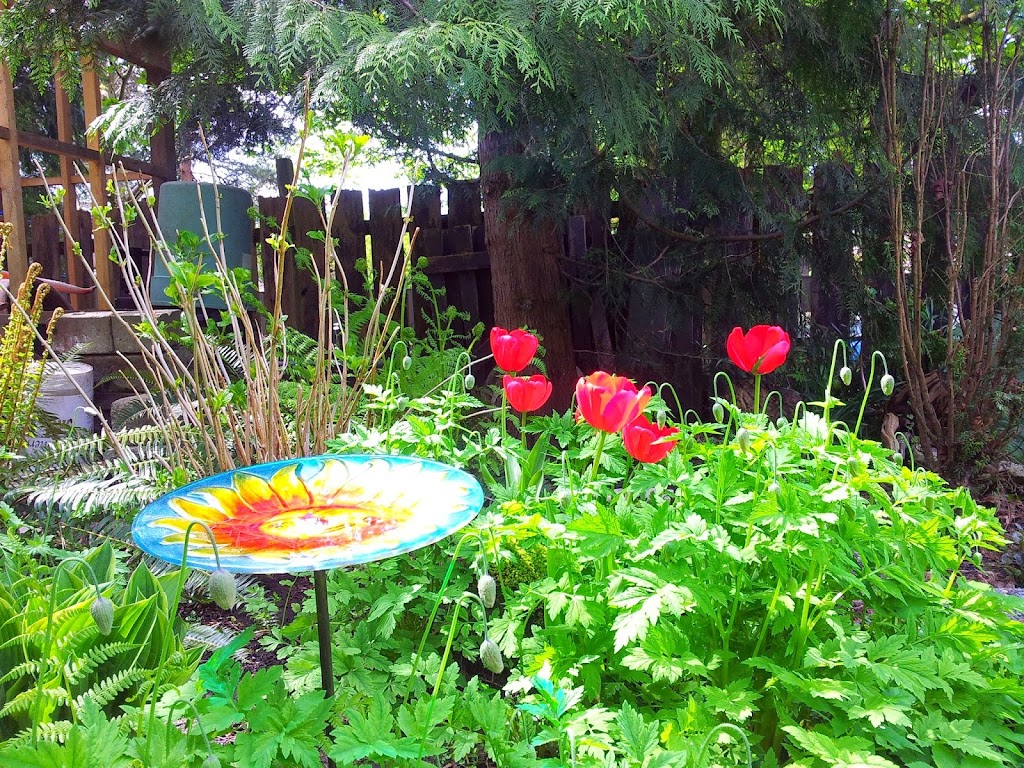 The Green Man Landscape Services | 21222 Dewdney Trunk Rd, Maple Ridge, BC V2X 3E9, Canada | Phone: (778) 840-0323