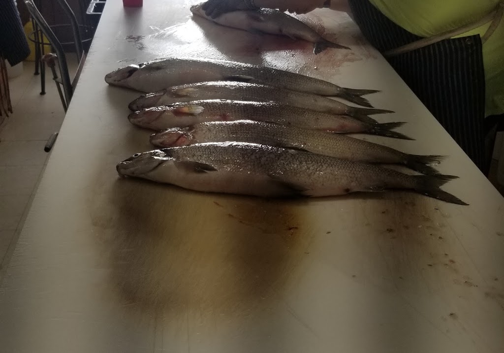 Lepage Fishery | 6 Lafontaine Rd E, Tiny, ON L9M 0S2, Canada | Phone: (705) 533-4269