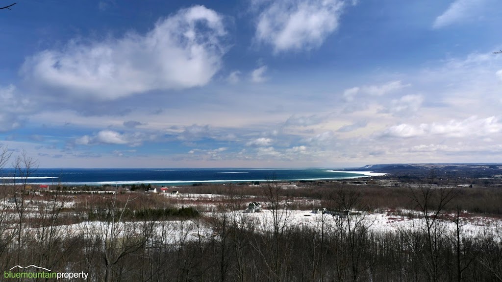 Sothebys International Realty Canada | 243 Hurontario St, Collingwood, ON L9Y 2M1, Canada | Phone: (705) 416-1499