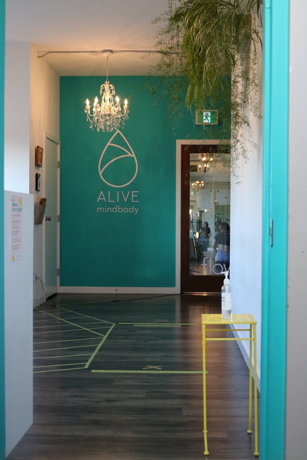 Alive Pole | 1821 Cook St Suite 301, Victoria, BC V8T 3P5, Canada | Phone: (778) 678-4888