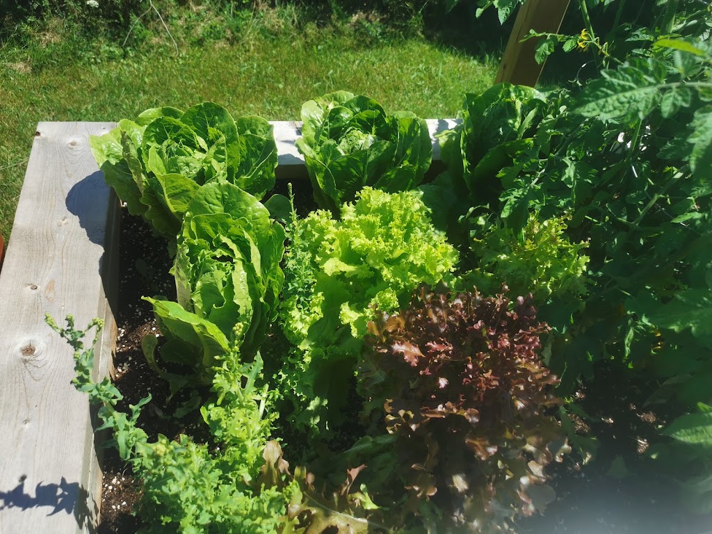 TREC Community Garden | 575 Taylor Rd, Breadalbane, PE C0A 1E0, Canada | Phone: (902) 916-7279