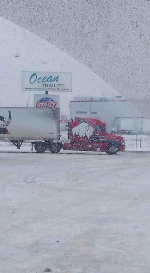 Buffalo Driver Training | 415 Lucas Avenue, Winnipeg, MB R3C 2E6, Canada | Phone: (204) 633-7697