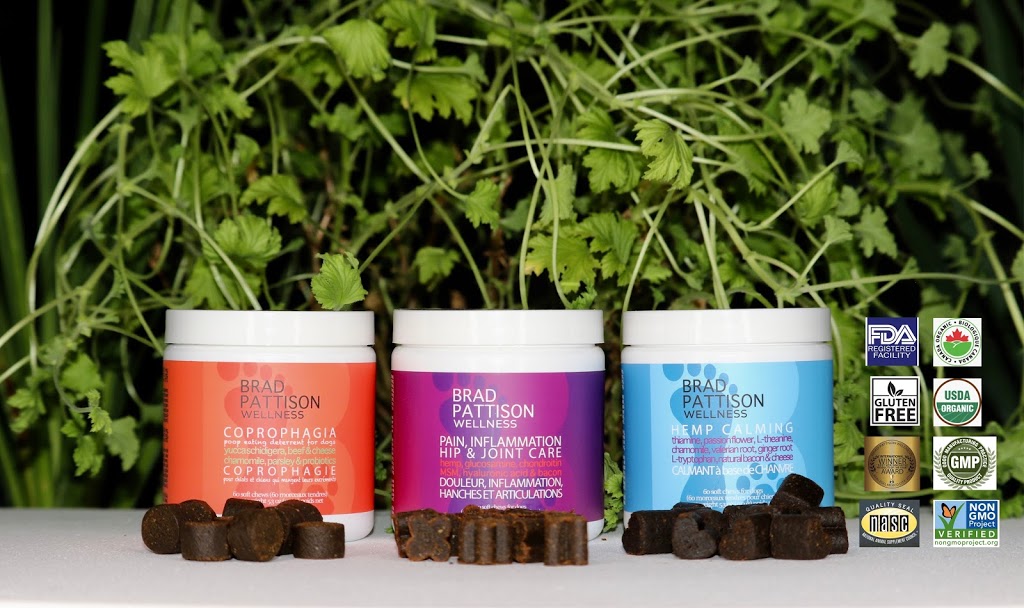 Brad Pattison Pet Wellness | 12160 103 A Ave, Surrey, BC V3V 3G8, Canada | Phone: (250) 317-9889