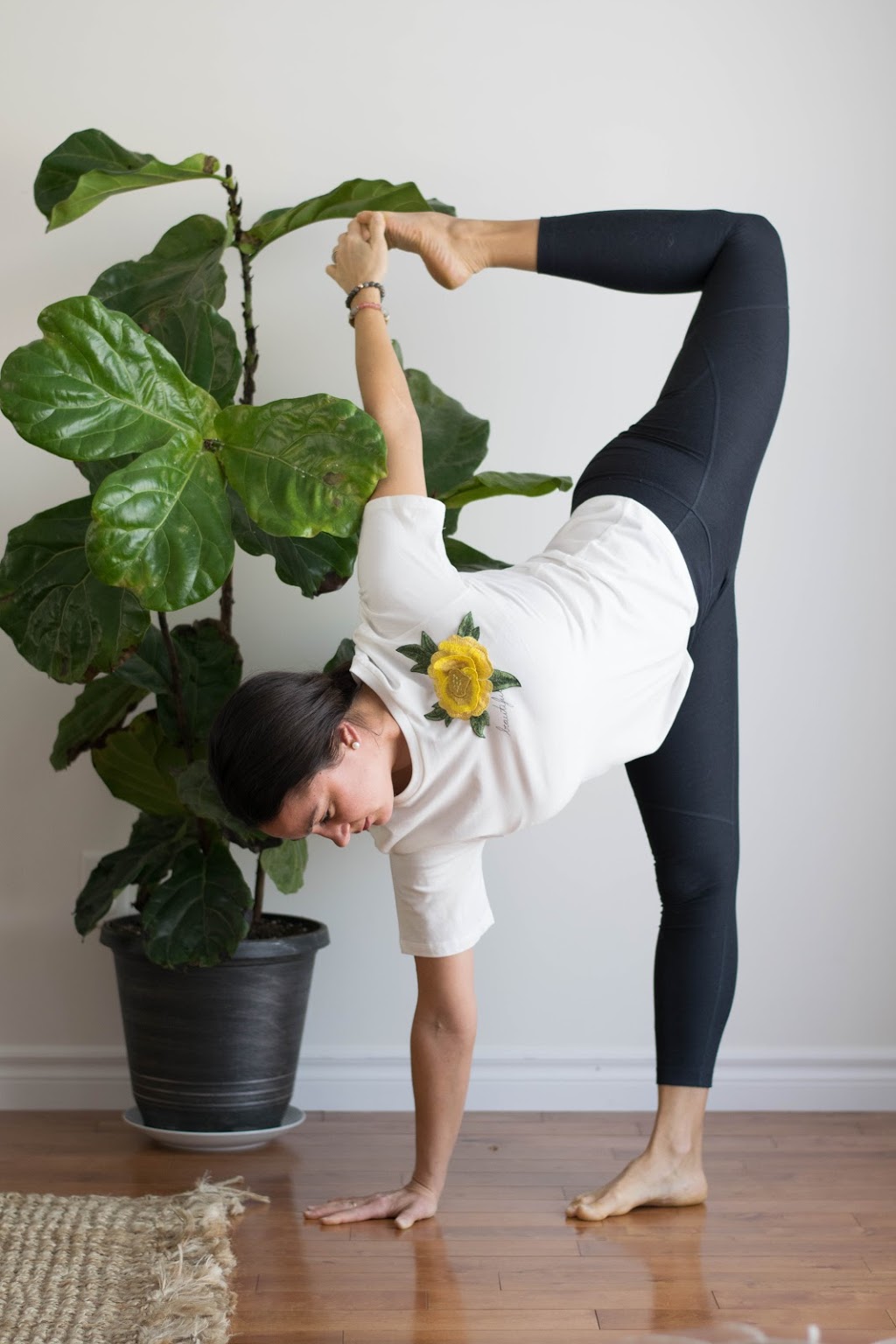 Integrative Healing & Yoga | 1303 Essex County Rd 22 #175, Belle River, ON N0R 1A0, Canada | Phone: (519) 567-8841