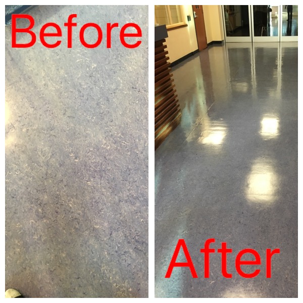 GNC Greencare Janitorial Services Inc. | 28 Floresta Ct, Ancaster, ON L9G 1R7, Canada | Phone: (905) 902-4470