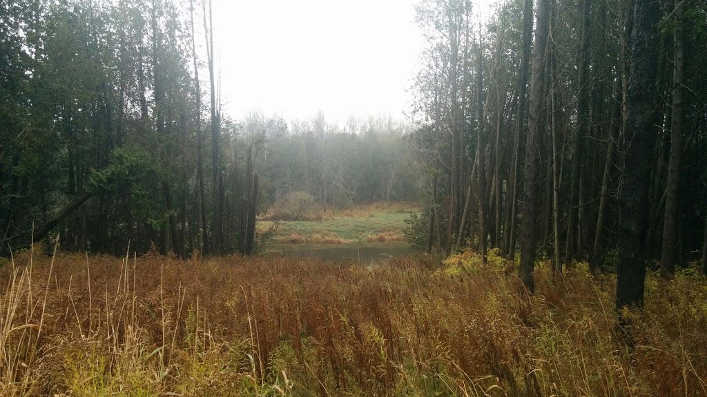 Upper Grand Trailway | East Luther Grand Valley, ON L0N 1G0, Canada