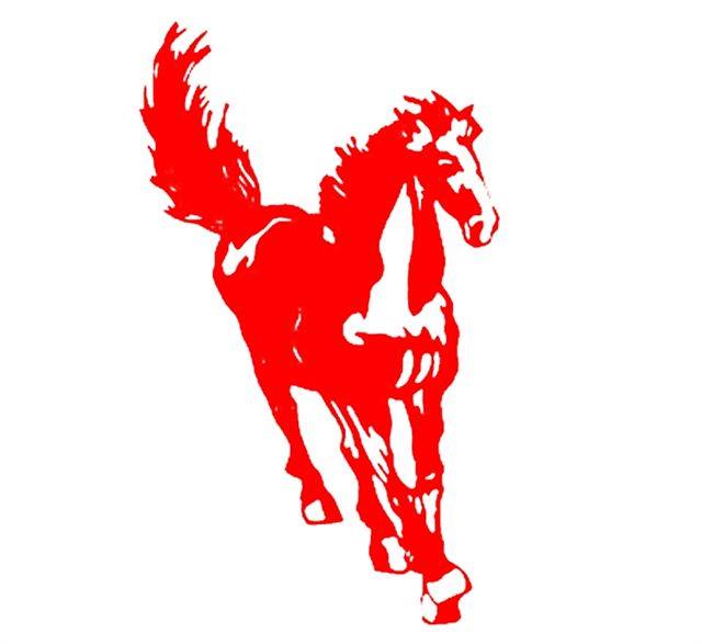 Stallion Moving & Storage | 18548 111 Ave NW, Edmonton, AB T5S 2V4, Canada | Phone: (780) 451-9500
