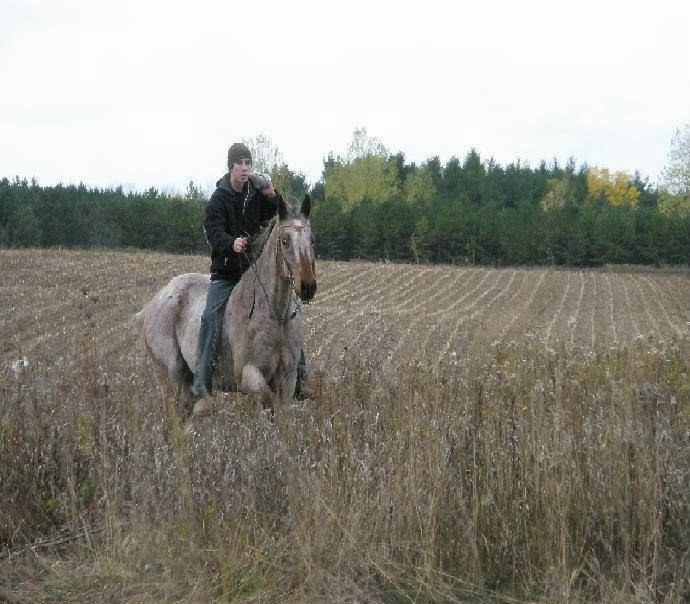 On the Forest Boarding | 17299 Kennedy Rd, Cedar Valley, ON L0G 1E0, Canada | Phone: (647) 836-0459