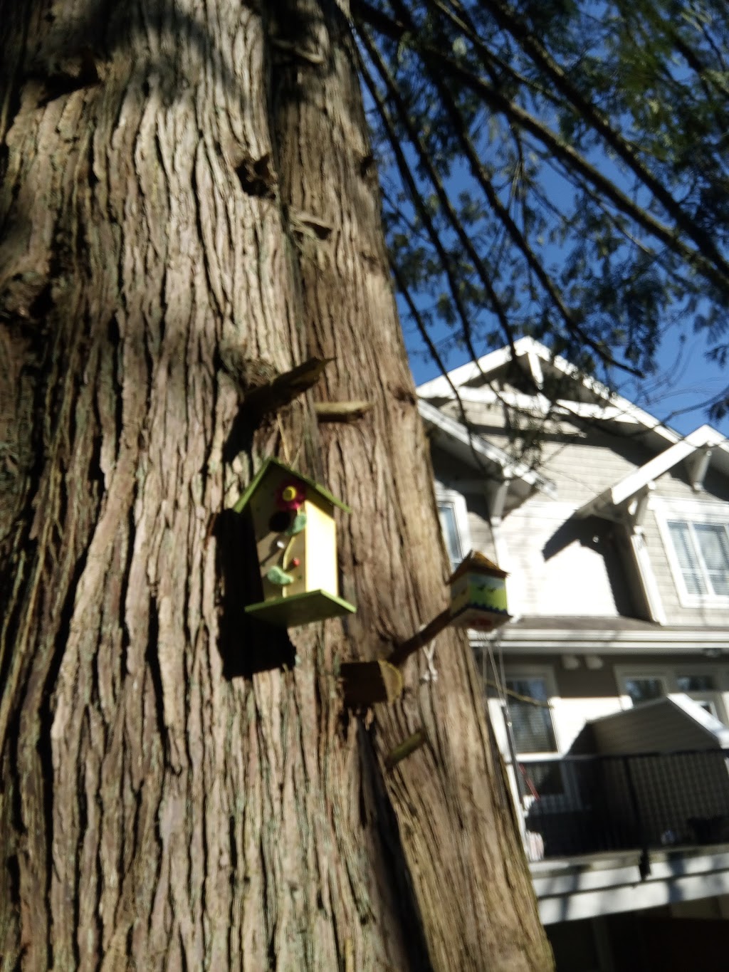 Fairy Lane | 6933 208B St Langley, BC ⚑ V2Y 0G3 208B St, Langley City, BC V2Y 2R7, Canada