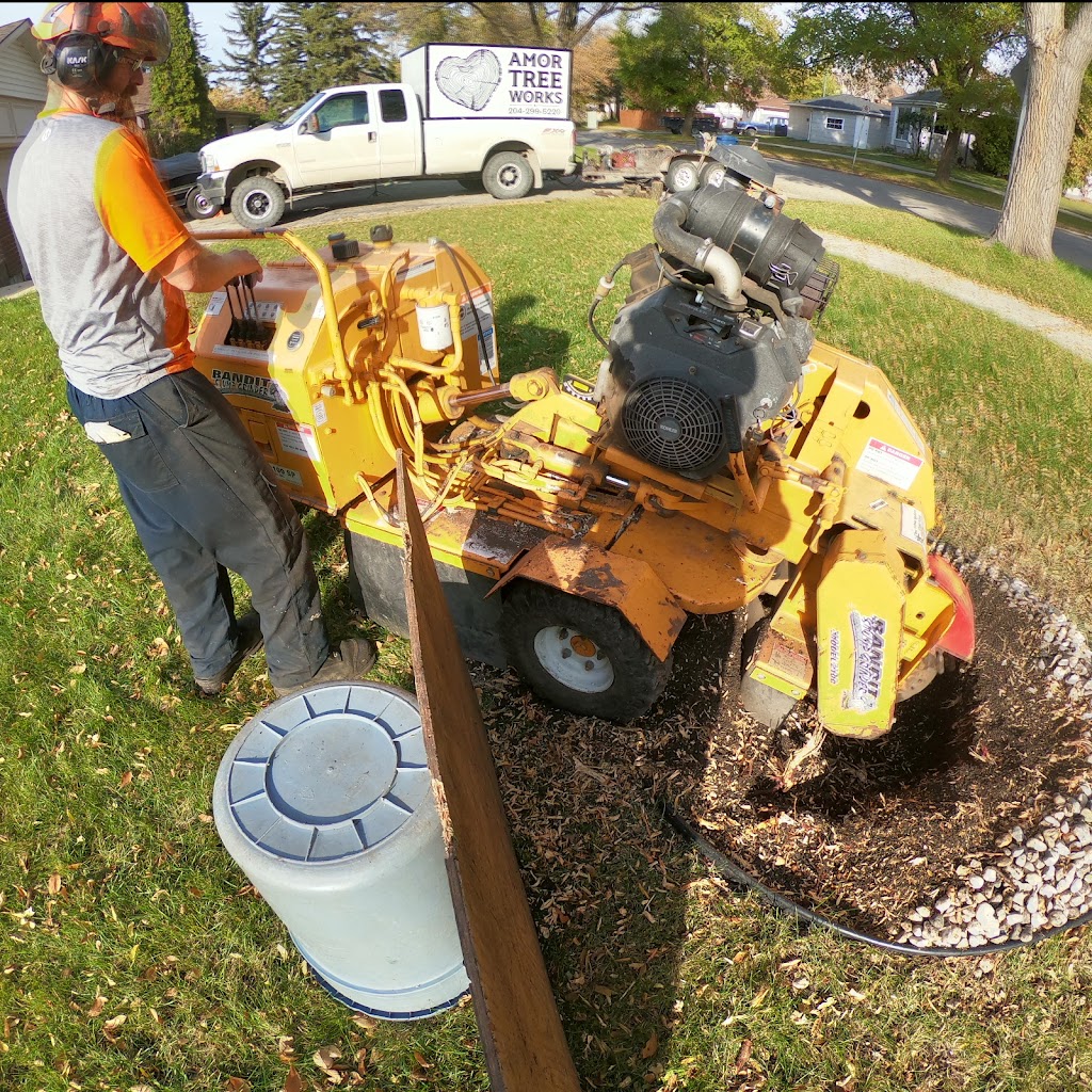 Amor Tree Works | 167 Hammond Rd, Winnipeg, MB R3R 1L9, Canada | Phone: (204) 299-5220