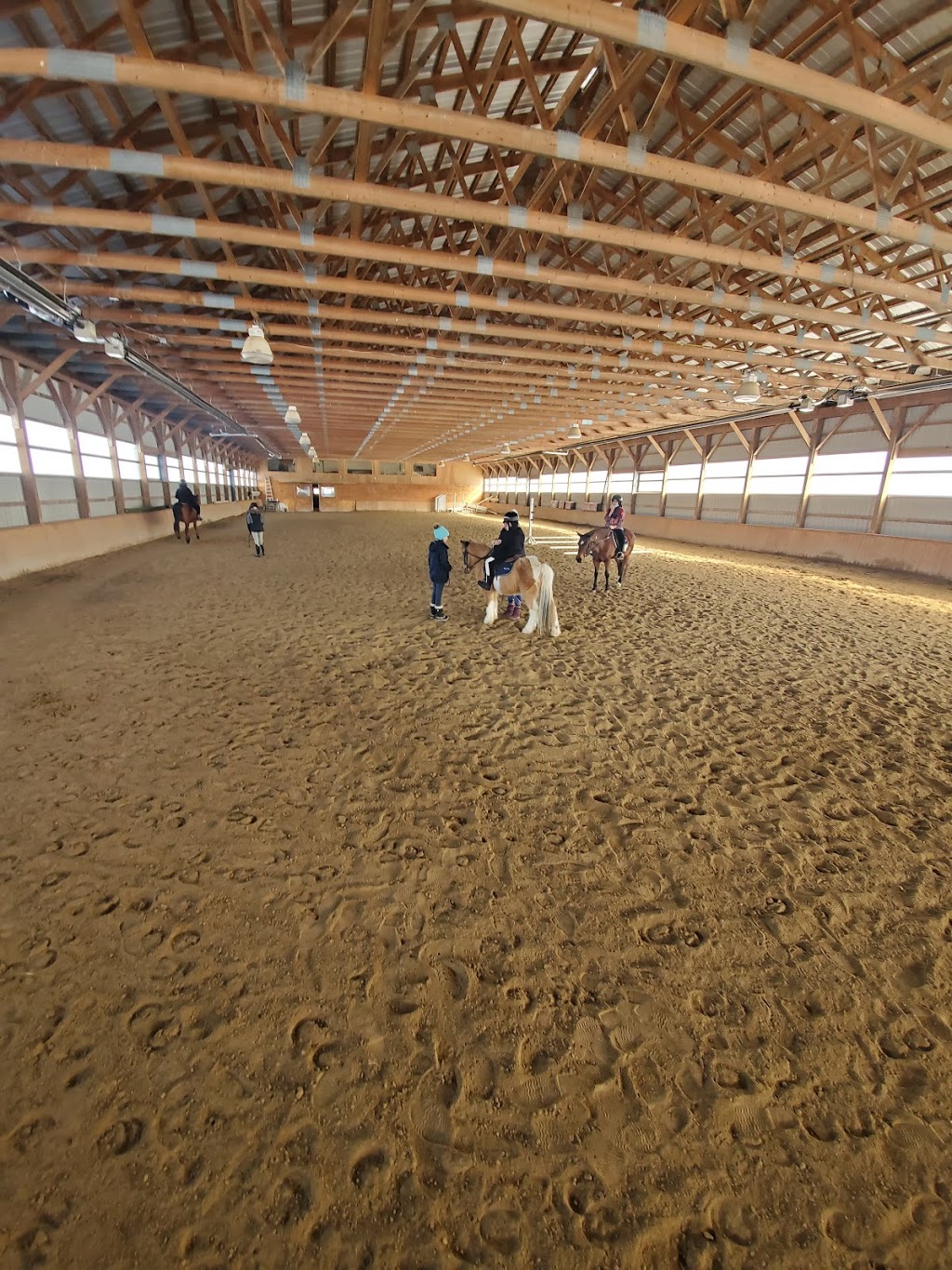 Foxbury Farm | 1148 10th Side Rd RR#4, Tottenham, ON L0G 1W0, Canada | Phone: (905) 936-2897