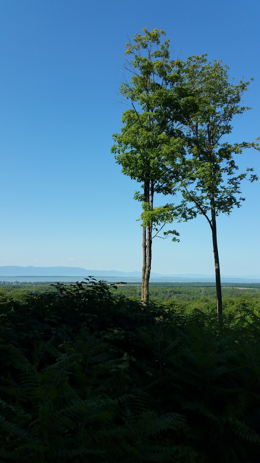 Club de golf Montmagny inc. | 473 Chemin du Golf, Montmagny, QC G5V 3R9, Canada | Phone: (418) 248-1872