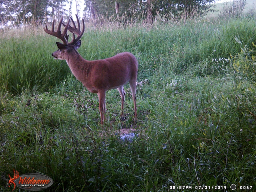 Otter Creek Outfitters | 551 4th St E, Spiritwood, SK S0J 2M0, Canada | Phone: (306) 883-7586