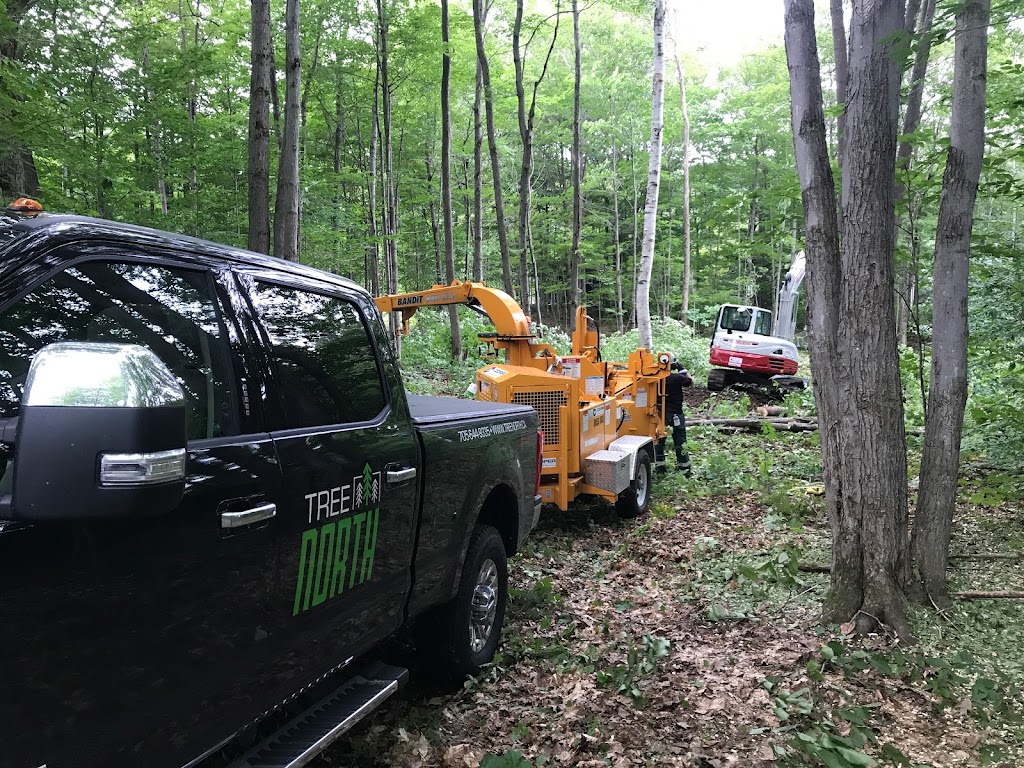 Tree North Inc. | 11 The Granite Bluff, Bracebridge, ON P1L 1L4, Canada | Phone: (705) 221-6860