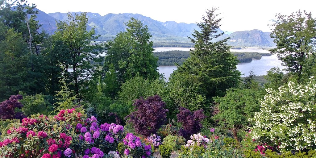 BNN RHODODENDRONS NURSERY | 43204 Honeysuckle Dr, Chilliwack, BC V2R 4A4, Canada | Phone: (604) 795-2354