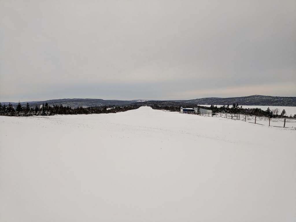 Harbour Grace Airport | Earhart Strip, Harbour Grace, NL A0A 2N0, Canada | Phone: (709) 596-5901