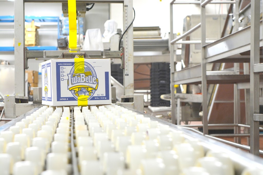 Vancouver Cold Storage | 13753 Hale Rd, Pitt Meadows, BC V3Y 1Z1, Canada | Phone: (604) 499-7440