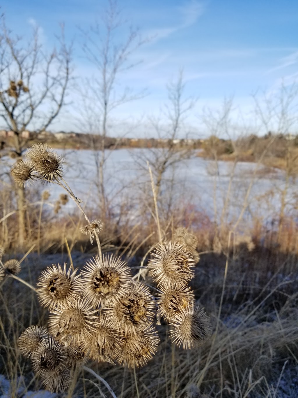 Bloore Pond | Brampton, ON L6R 2G8, Canada