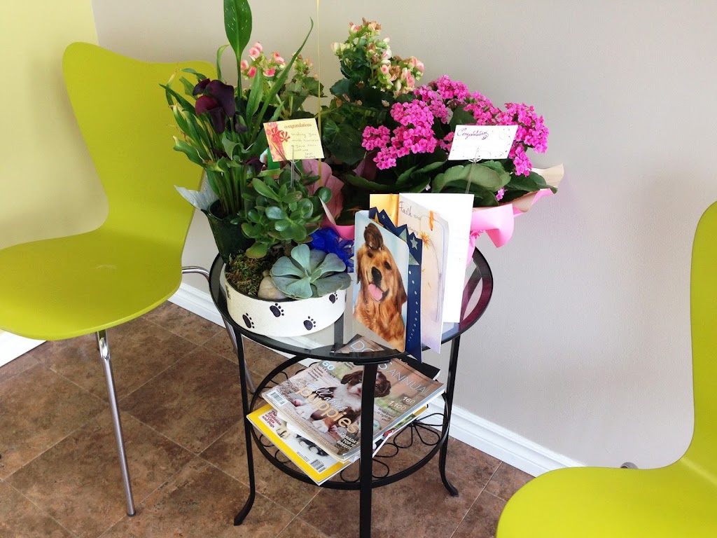 Uptown Pet Grooming | 250 Greenbank Rd, Nepean, ON K2H 8X4, Canada | Phone: (613) 695-2001