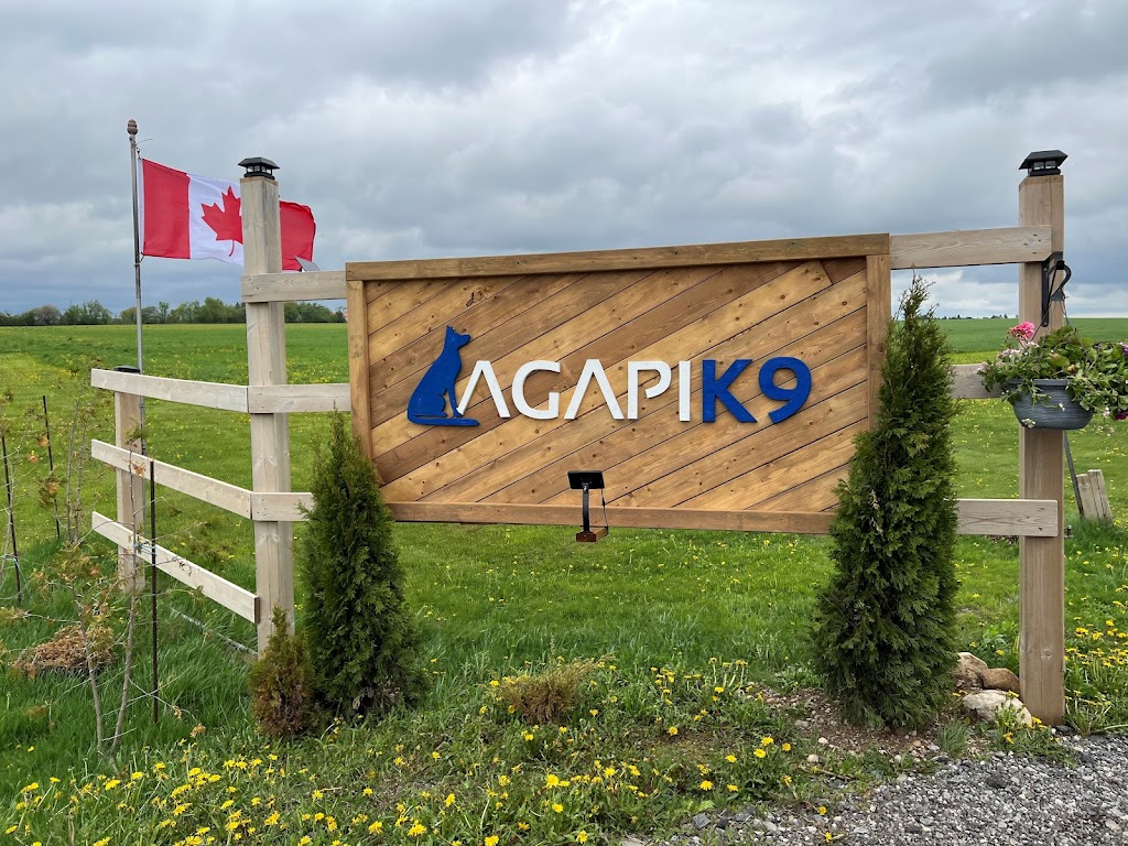 AgapiK9 | 374127 6 Line, Amaranth, ON L9W 0M6, Canada | Phone: (519) 942-1508