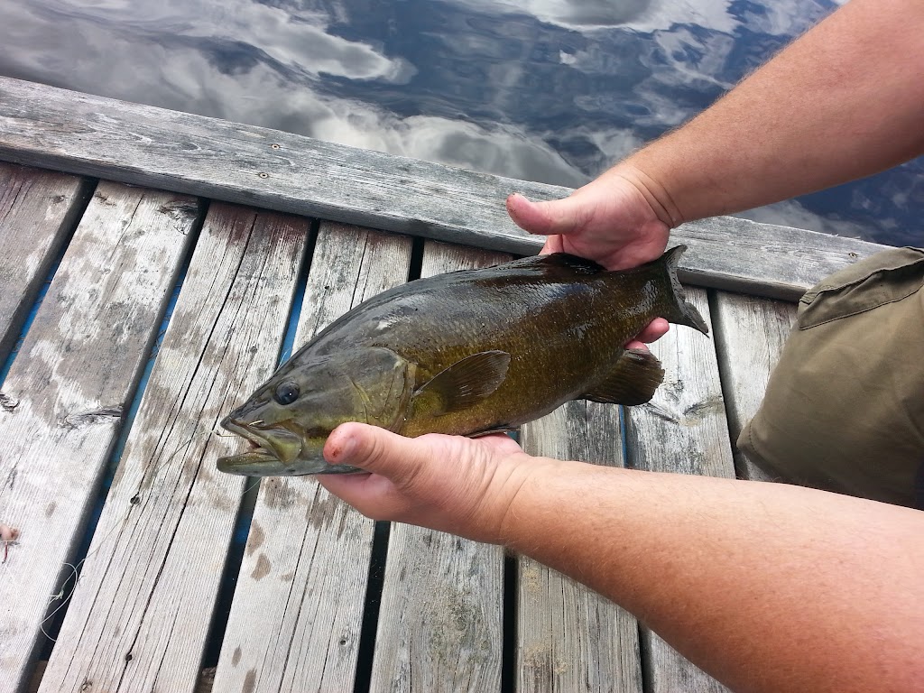 Au Ptit Gibier | 7920 Chem. du Lac-Kaiagamac, Saint-Michel-des-Saints, QC J0K 3B0, Canada | Phone: (877) 833-6714