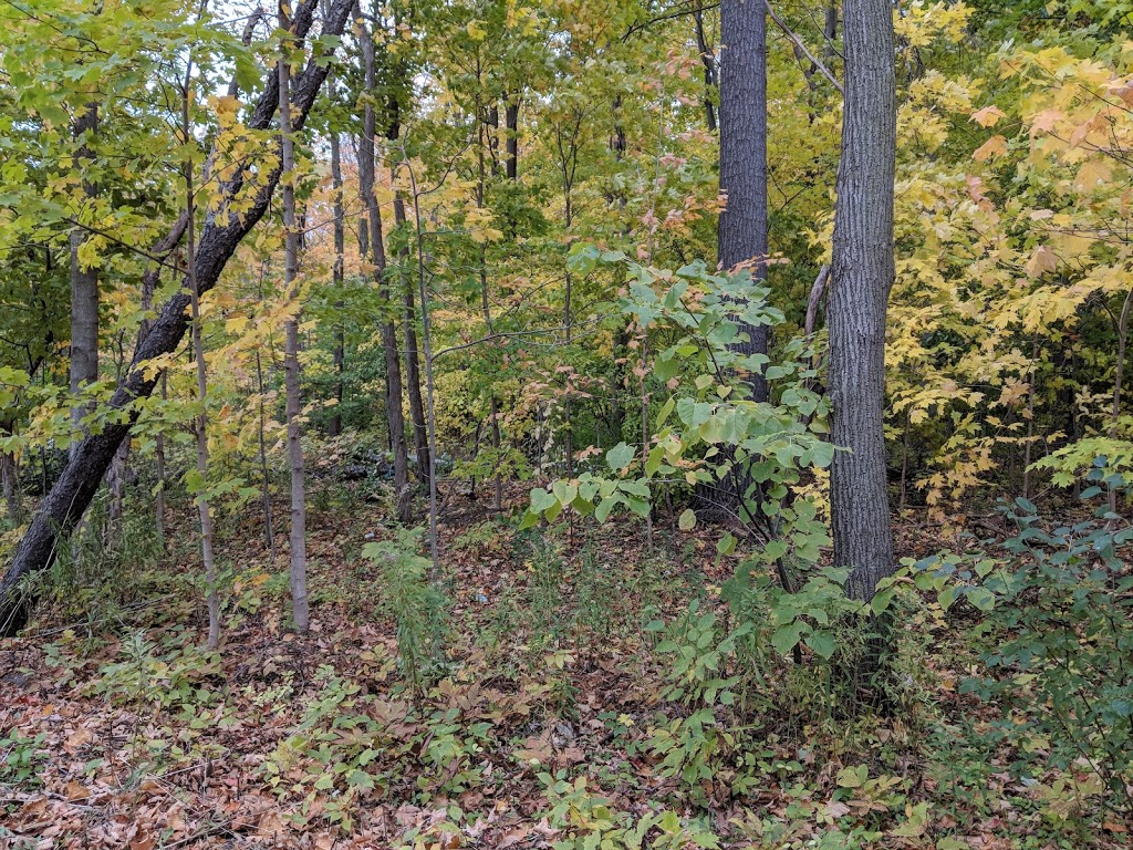 Larande Park | Brampton, ON L6Y, Canada