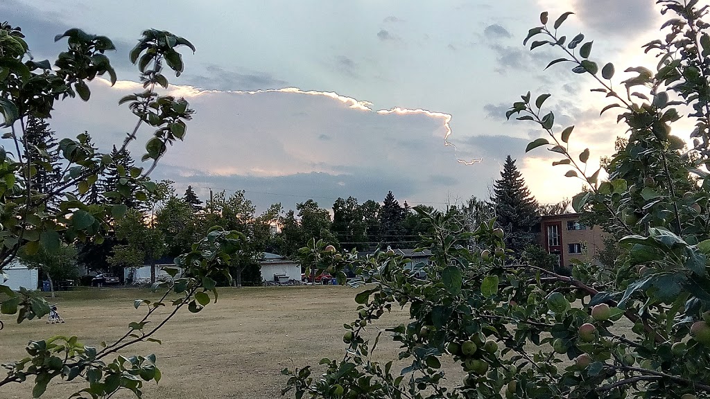 Banff Trail Park | 2115 20 Ave NW, Calgary, AB T2M 1J1, Canada