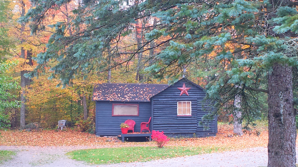 Stellas Getaway | 4699 ON-28, Harcourt, ON K0L 1K0, Canada | Phone: (705) 931-3101