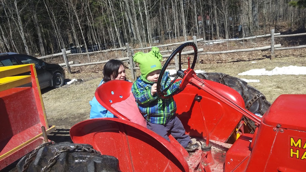 Cabane A Sucre Le Shack | 539 Chemin de la Rivière des Fèves N, Saint-Urbain-Premier, QC J0S 1Y0, Canada | Phone: (450) 427-3776